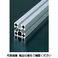 エヌアイシ・オートテック M8 ベーシックアルミフレーム 663mm AFSF-4040L-8-663（直送品）