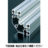 エヌアイシ・オートテック M8 ベーシックアルミフレーム 697mm AFSC-808040-8-697（直送品）