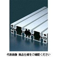 エヌアイシ・オートテック M8 ベーシックアルミフレーム 167mm AFS-45180L-8-167（直送品）