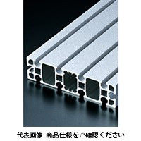 エヌアイシ・オートテック M8 ベーシックアルミフレーム 182mm AFS-45180B-8-182（直送品）