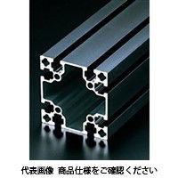 エヌアイシ・オートテック M8 ベーシックアルミフレーム 364mm AFS-8080L-8-BK-364（直送品）