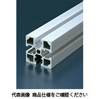 エヌアイシ・オートテック M8 ベーシックアルミフレーム 268mm AFS-4545L-8-268（直送品）