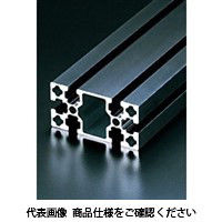 エヌアイシ・オートテック M8 ベーシックアルミフレーム 684mm AFS-4080L-8-BK-684（直送品）