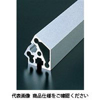 エヌアイシ・オートテック M8 ベーシックアルミフレーム 244mm AFSV-4060-8-244（直送品）