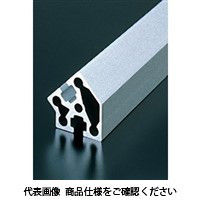 エヌアイシ・オートテック M8 ベーシックアルミフレーム 573mm AFSV-4045-8-573（直送品）