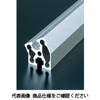 エヌアイシ・オートテック M8 ベーシックアルミフレーム 888mm AFSV-4030-8-888（直送品）