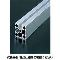 エヌアイシ・オートテック M8 ベーシックアルミフレーム 844mm AFST-4040L-8-844（直送品）