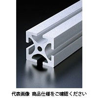 エヌアイシ・オートテック H10 高剛性フレーム 1000mm AFSー5050Hー10ー1000 1セット(3本)（直送品）