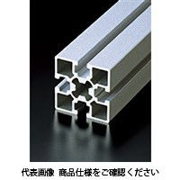 エヌアイシ・オートテック H10 高剛性フレーム 313mm AFSー5050ー8ー313 1セット(20本)（直送品）