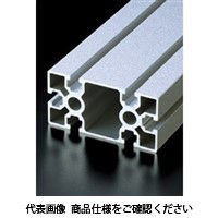 エヌアイシ・オートテック H10 高剛性フレーム 210mm AFSー50100ー8ー210 1セット(10本)（直送品）