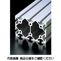 エヌアイシ・オートテック H10 高剛性フレーム 534mm AFSー100150Hー10ー534 1セット(2本)（直送品）