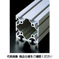 エヌアイシ・オートテック H10 高剛性フレーム 898mm AFSー100100ー10ー898 1セット(2本)（直送品）