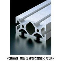 エヌアイシ・オートテック H10 高剛性フレーム 617mm AFSー50100Hー10ー617 1セット(3本)（直送品）