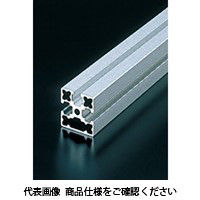 エヌアイシ・オートテック M6 ベーシックアルミフレーム 666mm AFSFー3030Lー6ー666 1セット(20本)（直送品）