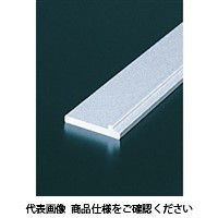 エヌアイシ・オートテック SP シート固定フレーム 280mm AFPー0545ー280 1セット(20本)（直送品）