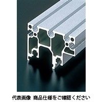 エヌアイシ・オートテック M6 フリーフローコンベアフレーム 877mm ACSR-6090-6-877（直送品）