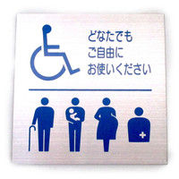 tW^ XeXHL̂ SUS-0.5t-195ړIgC108 00-05195 1iij