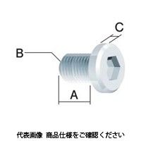 富士元工業 ブヒン H-1 ネジ 1セット（10個）（直送品）