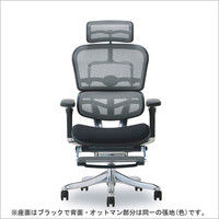 日曜まで送料無料　エルゴヒューマン プロ オットマン内蔵型　クッション座面タイプ 楽天市場】[座面セレクトタイプ] エルゴヒューマン プロ