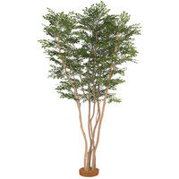 タカショー トネリコ株立 2.2m GD-220（直送品）