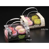 パックスタイル PS BPアソートボックス2P ナチュラル 00463528 1包：50枚（10×5）（直送品）