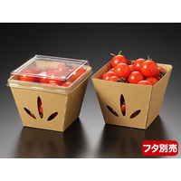 パックスタイル テーパーボックス11-11 未晒 00588642 1包：200枚（25×8）（直送品）