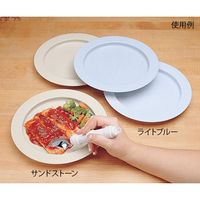 アズワン ハイインナーリップ皿 滑り止めなし 1枚