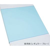 亀屋 防水シーツ スムースニットタイプ レギュラーサイズ・クリーム 100-02 1個 7-1501-02（直送品）