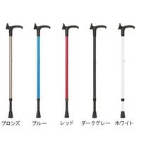 クリスタル産業 エレパイオ ダークグレー EP-804 1本 7-1538-04（直送品）