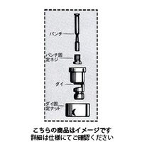 ボッシュ パンチ固定ネジ 2603455006 1個（直送品）