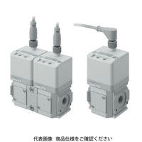 CKD 高精度電空レギュレータ EVR-2900-08-L1C 1台（直送品）