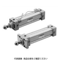 CKD セレックスシリンダ 複動・低摩擦形(加圧時定摩擦) SCA2ーUーCAー63Nー100 SCA2-U-CA-63N-100 1本（直送品）