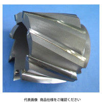 アサヒ工具製作所 ソリッド4枚刃Aカットエンドミル MA SAC4081M 1本（直送品）