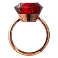 【アウトレット】エリアプラス area + ハンガライト ルビー 1個 HG-01/RD