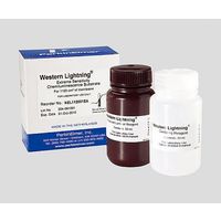 アズワン 試薬NEL120001EA NEL120001EA 1箱 2-4296-01（直送品）