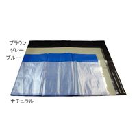 深江化成 オートクレーブバッグ LCサイズ(ナチュラル) 50×78cm 540-LC 1箱(100枚) 62-0893-07（直送品）