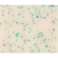 JNC MCーMedia Pad EC 大腸菌・大腸菌群用 (1000枚) SK04A25 1ケース(1000枚) 2-5838-77（直送品）