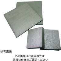 アズワン ヘビーアロイ板(タングステン重合金) 50×50×20.0 3-7512-07 1本(1枚)（直送品）