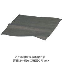 浜松カーボニクス 多層カーボンナノチューブシート 100×100mm 1枚 3-7638-02（直送品）