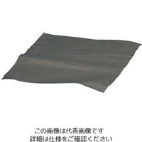 浜松カーボニクス 多層カーボンナノチューブシート 200×200mm 1枚 3-7638-04（直送品）