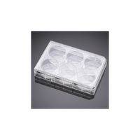 コーニングインターナショナル PureCoat アミン 6ウェルプレート 5個/パック×1パック 354721 1ケース(5個)（直送品）