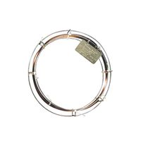 パーキンエルマー COLーELITE 5A 30M 0.53MM 3.00UM N9316682 1個 61-6431-99（直送品）