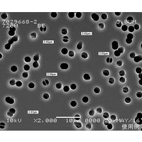 Track Etched Membrane， Polycarbonate， 47mm， 8um， 100/pk 1215637（直送品）