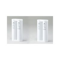 ヤマト科学 イオン交換樹脂カートリッジ CPCーP+CPCーE 1個 61-9663-06（直送品）