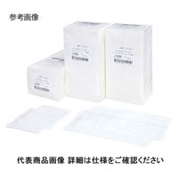 イワツキ ジーエムコットン