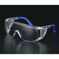 サーモフィッシャーサイエンティフィック コート済ビジタースペック保護眼鏡 19-130-2091 1個 62-1611-20（直送品）