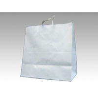 パックタケヤマ 手提袋 HV150 晒無地 XZT00872 1包：50枚×3（直送品）