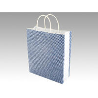 パックタケヤマ 手提袋 BT