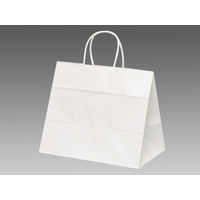 パックタケヤマ 手提袋 V68 晒無地 XZT00917 1包：50枚×4（直送品）