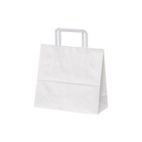 パックタケヤマ 紙手提袋 H平24 晒 無地 XZT01001 1包：50枚×4（直送品）